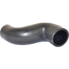 2420208 Kühlerschlauch