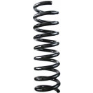 Spidan | Fahrwerksfeder | 55724