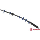 Brembo | Bremsschlauch | T 23 112