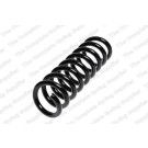 4256854 Fahrwerksfeder