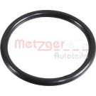 2430067 Dichtring, Ladeluftschlauch