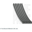 Blue Print | Keilrippenriemen | AD06S1220 Blue Print | Keilrippenriemen | AD06S1220