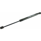 2110538 Gasfeder, Koffer-/Laderaum