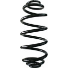 Spidan | Fahrwerksfeder | 85629