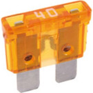 BOSCH | Sicherung | 1 987 529 036