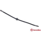 Brembo | Bremsschlauch | T 68 088