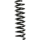 Spidan | Fahrwerksfeder | 55731