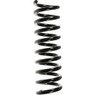 Spidan | Fahrwerksfeder | 55732