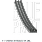 Blue Print | Keilrippenriemen | AD03S798 Blue Print | Keilrippenriemen | AD03S798