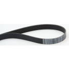 ContiTech | Keilrippenriemen | 7PK1104