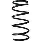 Spidan 2 x SPIDAN Fahrwerksfeder 85431