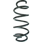 Spidan | Fahrwerksfeder | 87443