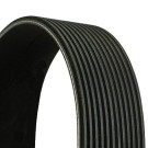ContiTech | Keilrippenriemen | 12PK1507