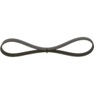 1 987 948 489 Keilrippenriemen