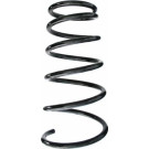 Spidan | Fahrwerksfeder | 87418