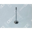 OE Germany | Einlassventil | 03 0520 D13000