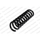 4256824 Fahrwerksfeder