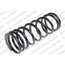 4075759 Fahrwerksfeder