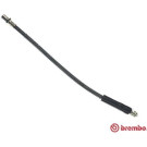 Brembo | Bremsschlauch | T 41 002