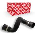 FEBI BILSTEIN 103702 Kühlerschlauch