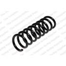 4256849 Fahrwerksfeder