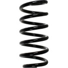 Spidan | Fahrwerksfeder | 55944