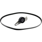 FEBI BILSTEIN 183564 Keilrippenriemensatz