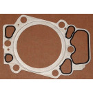 Elring | Dichtung, Zylinderkopf | 492.800