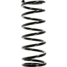 Spidan | Fahrwerksfeder | 49678