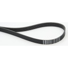 ContiTech | Keilrippenriemen | 6PK1318