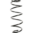 Spidan | Fahrwerksfeder | 55273