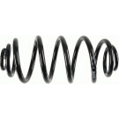 994 310 Fahrwerksfeder