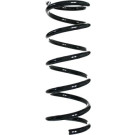 Spidan | Fahrwerksfeder | 56513