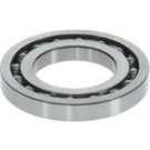 BOSCH | Lager | 1 460 925 001