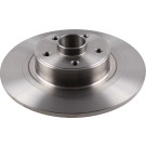 197310 Bremsscheibe