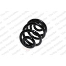 4272928 Fahrwerksfeder