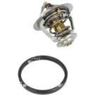 NRF | Thermostat, Kühlmittel | 725111