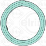 Dichtring 020.851 Dichtring 020.851