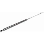 Gasfeder, Koffer-/Laderaum V10-0243