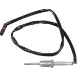 Sensor, Abgastemperatur 0894391