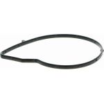 Vaico V22-50021 Wasserpumpe Green Mobility Parts Vaico V22-50021 Wasserpumpe Green Mobility Parts