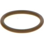 Dichtring F 00V C38 044