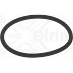 Dichtring 789.970 Dichtring 789.970
