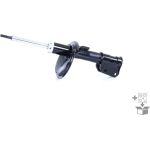 Stoßdämpfer G16725