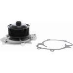 Vaico V30-50060 Wasserpumpe