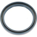 Dichtring 12011191B