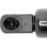 Vaico V10-1991 Gasfeder, Kofferraum/Laderaum