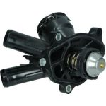 Thermostat, Kühlmittel 67-0081