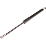 Gasfeder, Motorhaube 12-0061 Gasfeder, Motorhaube 12-0061