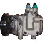 Kompressor, Klimaanlage ACP 1228 000P Kompressor, Klimaanlage ACP 1228 000P